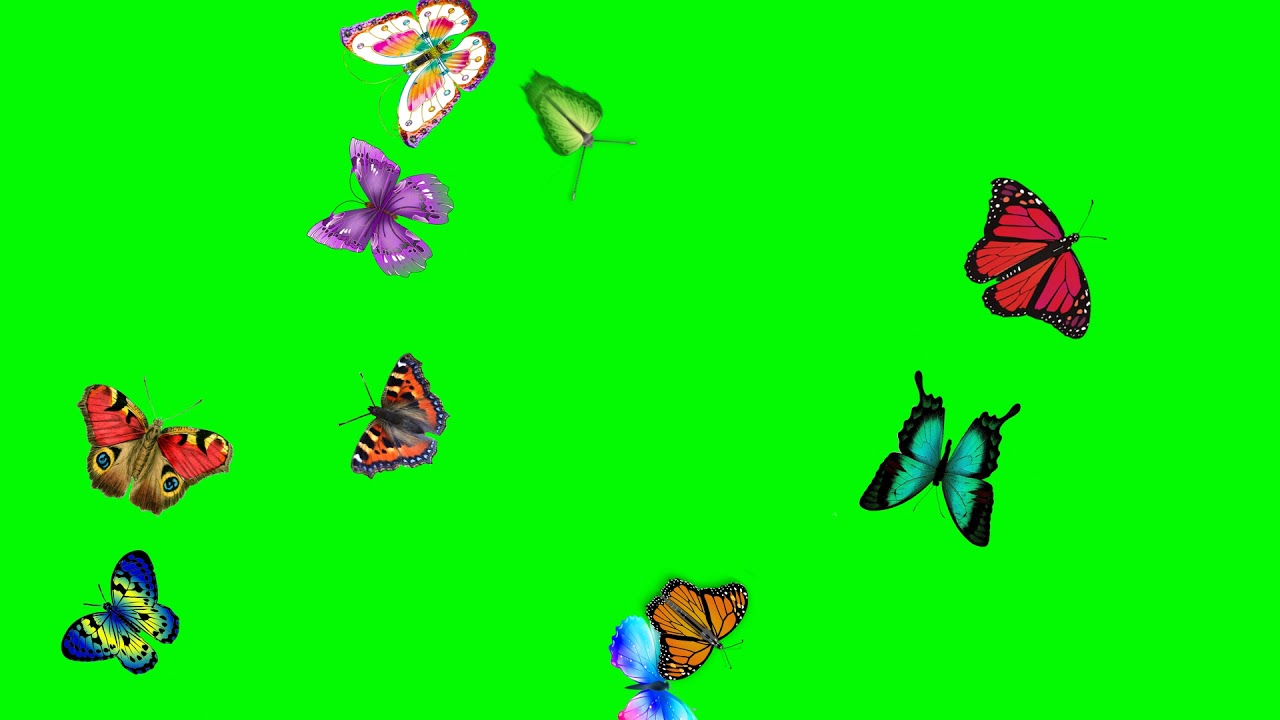 Featured image of post Aesthetic Butterfly Gif Green Screen