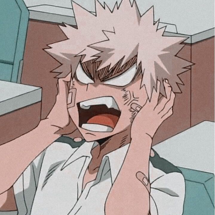 Bakugou Pfp Mad