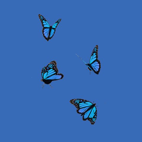 Featured image of post Blue Aesthetic Butterfly Gif