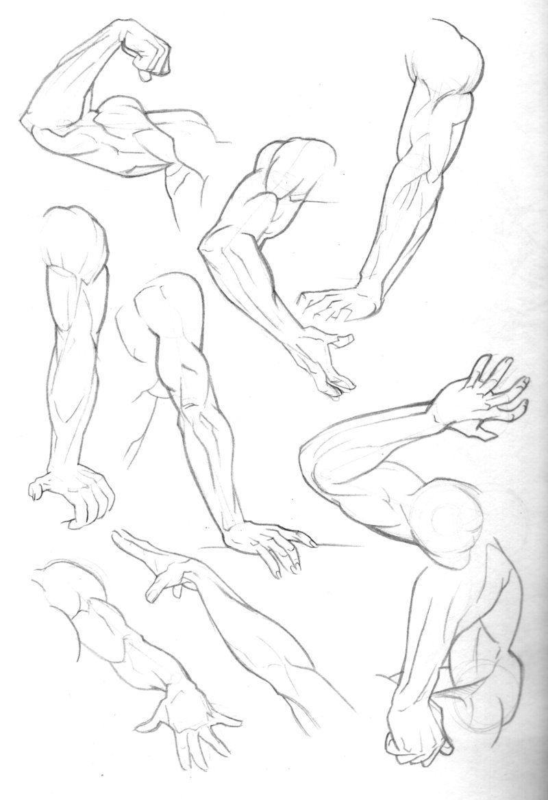 Featured image of post Male Arms Drawing Reference