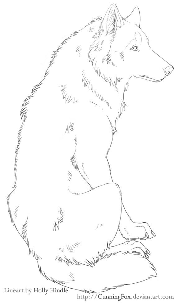 Featured image of post Wolf Drawing Base Sitting